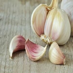 गावठी लसूण / pink garlic