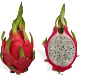 ड्रॅगन फ्रुट / Dragon Fruit