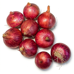 कांदा / New Onion