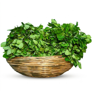 मेथी / Fenugreek