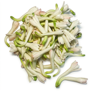 निशिगंध / गुलछडी/Tuberose
