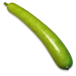 दुधी / Bottle Gourd