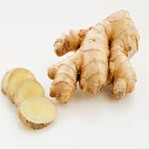 अद्रक / Ginger