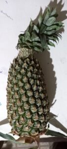 Pineapple/अननस