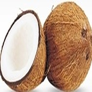 नारळ /Coconut