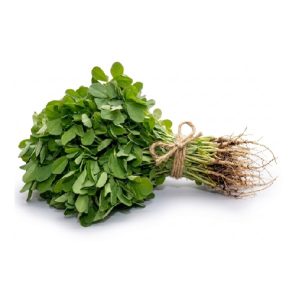मेथी / Fenugreek