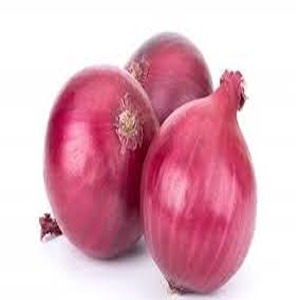 मोठा कांदा / Big Onion