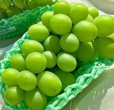 Green jumbo grapes