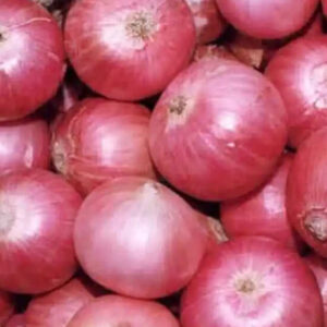 मध्यम कांदा /  Medium Onion