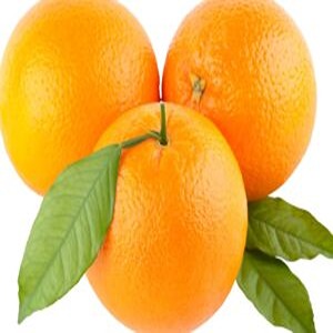 संत्रा / Imported Orange