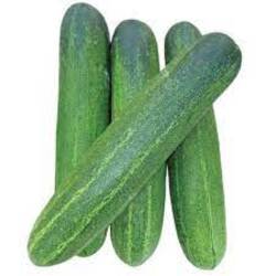 हिरवी काकडी/ Green Cucumber