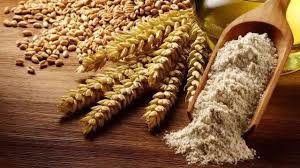 खपली गव्हाचे पीठ / Khapli Wheat flour