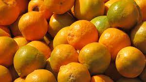 नागपुर संत्रा / Nagpur  Orange