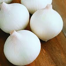 पांढरा कांदा  / white onion