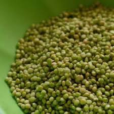 हुरडा ज्वारी / Jwari Hurada