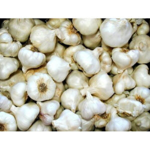 लहान लसूण / small garlic