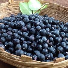 करवंद / Black Currants
