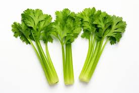 सेलेरी /celery