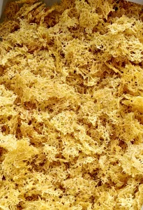 Dried Grated Potato / बटाट्याचा किस