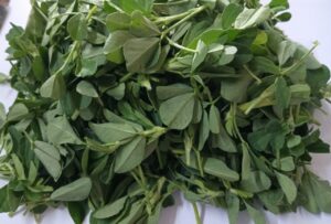 निवडलेली मेथीची भाजी /Sorted fenugreek leaves