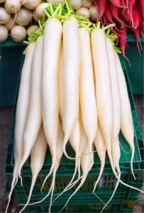 मुळा /Radish