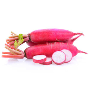 लाल मुळा / Red Radish