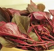 Red Amaranths (Hydroponicaly Grown)