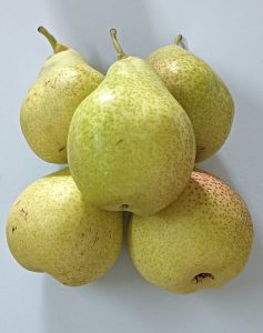 सौंदर्य नाशपाती / beauty pear