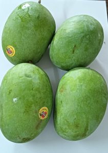 लंगडा आंबा / Langada mango